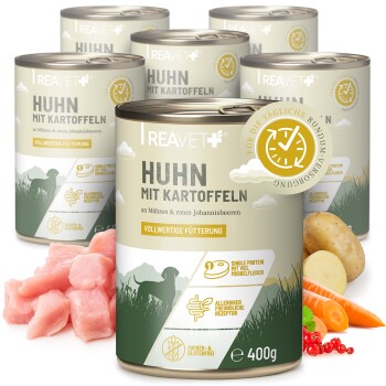 REAVET Hundenassfutter - Huhn mit Naturreis an Möhren & roten Johannisbeeren | 6 x 400g