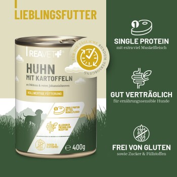 REAVET Hundenassfutter - Huhn mit Naturreis an Möhren & roten Johannisbeeren | 6 x 400g