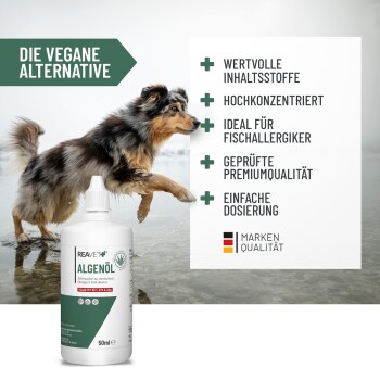 REAVET Algenöl 50ml