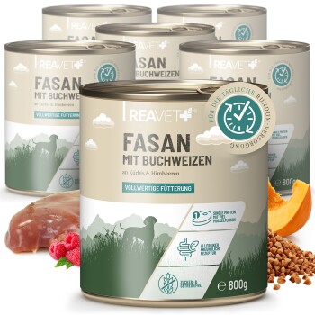 REAVET Hundenassfutter - Fasan mit Buchweizen an Kürbis & Himbeeren | 6 x 800g