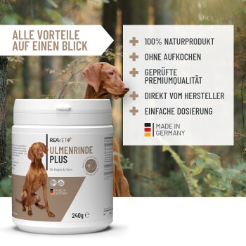 REAVET Ulmenrinde Plus 2 x 120g (Bundle)