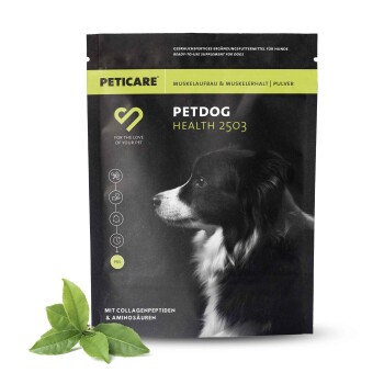 Peticare Muskulatur Pulver für Hunde, mit essenziellen Aminosäuren, Kollagen 250 g