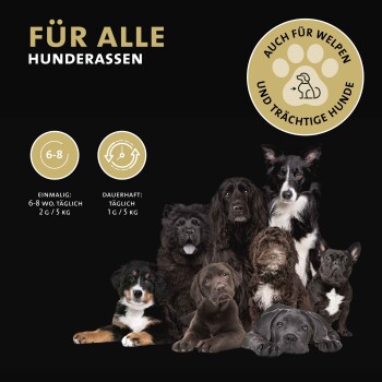 Peticare Muskulatur Pulver für Hunde, mit essenziellen Aminosäuren, Kollagen 250 g