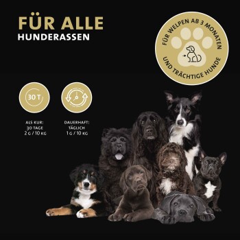 Peticare Relax-Mix Pulver für Hunde, beruhigendes Ergänzungsfutter-Mittel | 100 gr