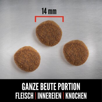 Orijen Senior 2x2 kg