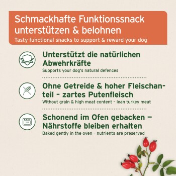 AniForte Immun Boost Snack 300g