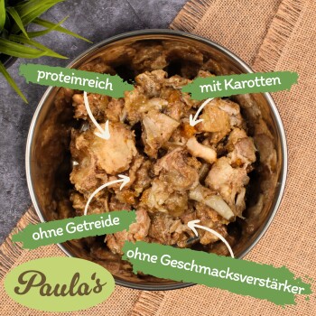 Lyra Pet Lecker.Pet Gino's, Josie's, Luna's & Paula's 100 % Fleisch & Gemüse Hundefutter Nassfutter Mix
