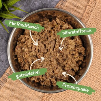 Lyra Pet Lecker.Pet Emily's Feine Paté Reich an Rind Katzenfutter Nassfutter Vollnahrung 51x100 g