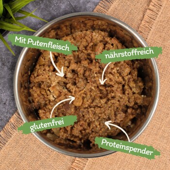 Lyra Pet Lecker.Pet Balu's Feine Paté Reich an Pute Katzenfutter Nassfutter Vollnahrung 34x100 g