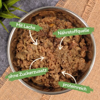 Lyra Pet Lecker.Pet Mia's Feine Paté Reich an Lachs Katzenfutter Nassfutter Vollnahrung 34x100 g