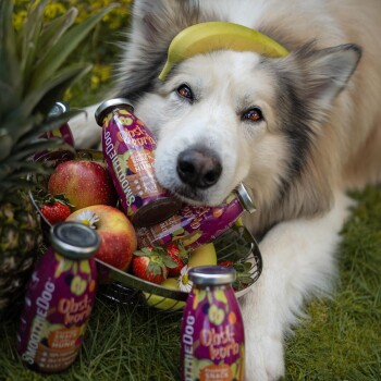 SmoothieDog Obstkorb 6x250 g