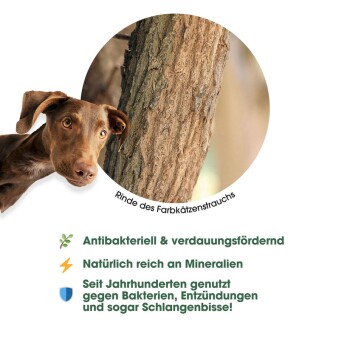 KAUDAS Sekelbos Kaustange 4xS