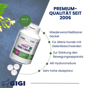 GIGI VET Senioren Gelenke & Knochen