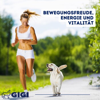 GIGI VET Hunde Gelenke & Knochen Pulver 1,04 kg