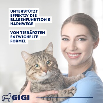 GIGI VET Harn & Blase 90x28 g