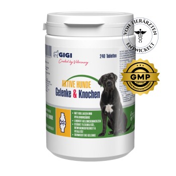 GIGI VET Aktvie Hunde Gelenke & Knochen 240x576 g