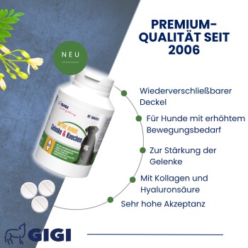 GIGI VET Aktvie Hunde Gelenke & Knochen 240x576 g
