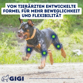 GIGI VET Aktvie Hunde Gelenke & Knochen 240x576 g