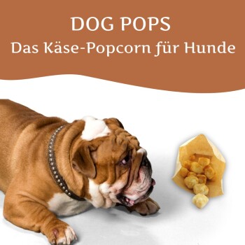 Wildfang Dog Pops - Käse-Popcorn für Hunde