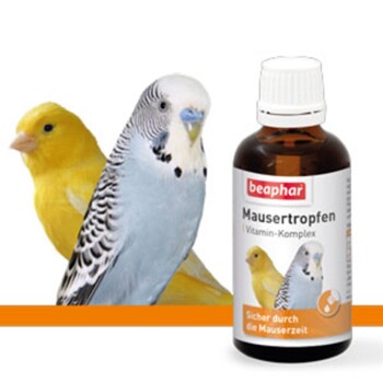 Beaphar Mausertropfen, 50ml