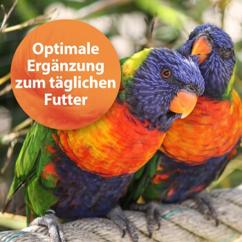 Quiko Forte 500g: Mineralien, Spurenelemente und Vitamine für Ziervögel