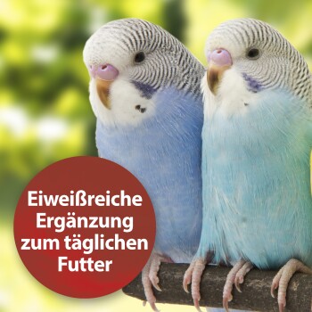Quiko Bierhefe 400g: Eiweißreiche Ergänzung zum täglichen Futter für Ziervögel