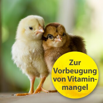 Quiko Multivitamin 750 g