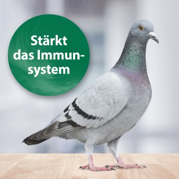 Quiko Med 75 g