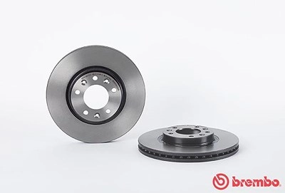 BREMBO Bremsscheibe 09.8303.11 Bremsscheiben,Scheibenbremsen PEUGEOT,407 SW (6E_),508 SW I (8E_),407 (6D_),607 (9D, 9U),508 I (8D_) Limousine