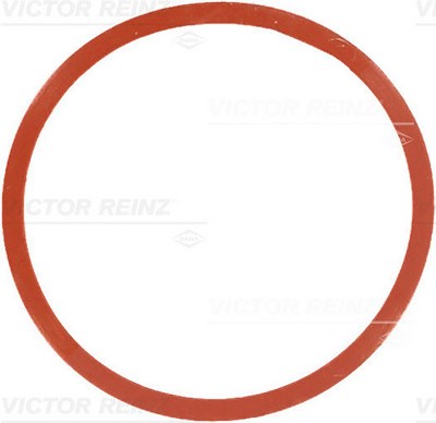 REINZ Dichtung, Ansaugkrümmergehäuse 71-77546-00  BMW,LAND ROVER,3 Touring (E91),3 Limousine (E46),3 Limousine (E90),5 Limousine (E60),5 Touring (E61)