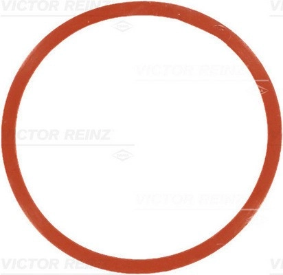 REINZ Dichtung, Ansaugkrümmergehäuse 71-77546-00  BMW,LAND ROVER,3 Touring (E91),3 Limousine (E46),3 Limousine (E90),5 Limousine (E60),5 Touring (E61)