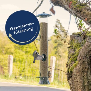 Lyra Pet LyraPet Sonnenblumenkerne geschält Bruch 25 kg