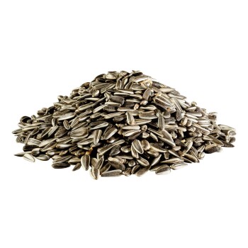 Panto SONNENBLUMENKERNE GESTREIFT 20kg