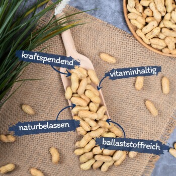 Lyra Pet Erdnusskerne in Schoten 10 kg