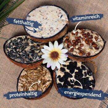 Lyra Pet Halbe Kokosnuss mit Topping 3x10 Stück