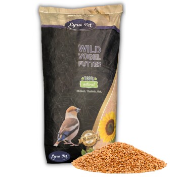 Lyra Pet Hirse rot lose 10 kg
