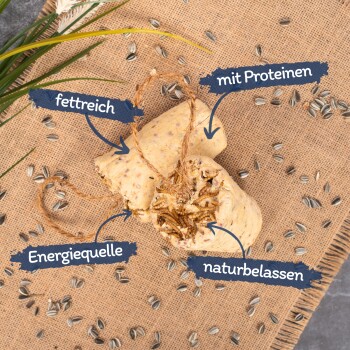 Lyra Pet Fettriegel mit Mehlwürmern