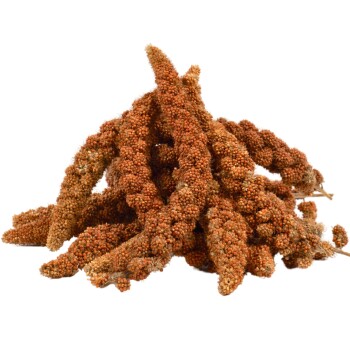 Lyra Pet Kolbenhirse rot 2 kg