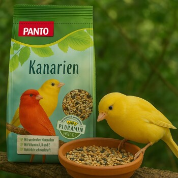Panto ® KANARIENFUTTER MIT PLURAMIN® 5 kg