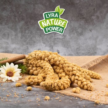 Lyra Pet Kolbenhirse gelb 15 kg