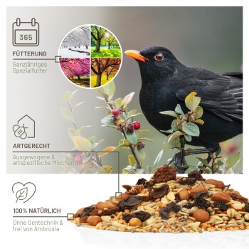 wildtier liebe Futtertraum Amselfutter 5kg