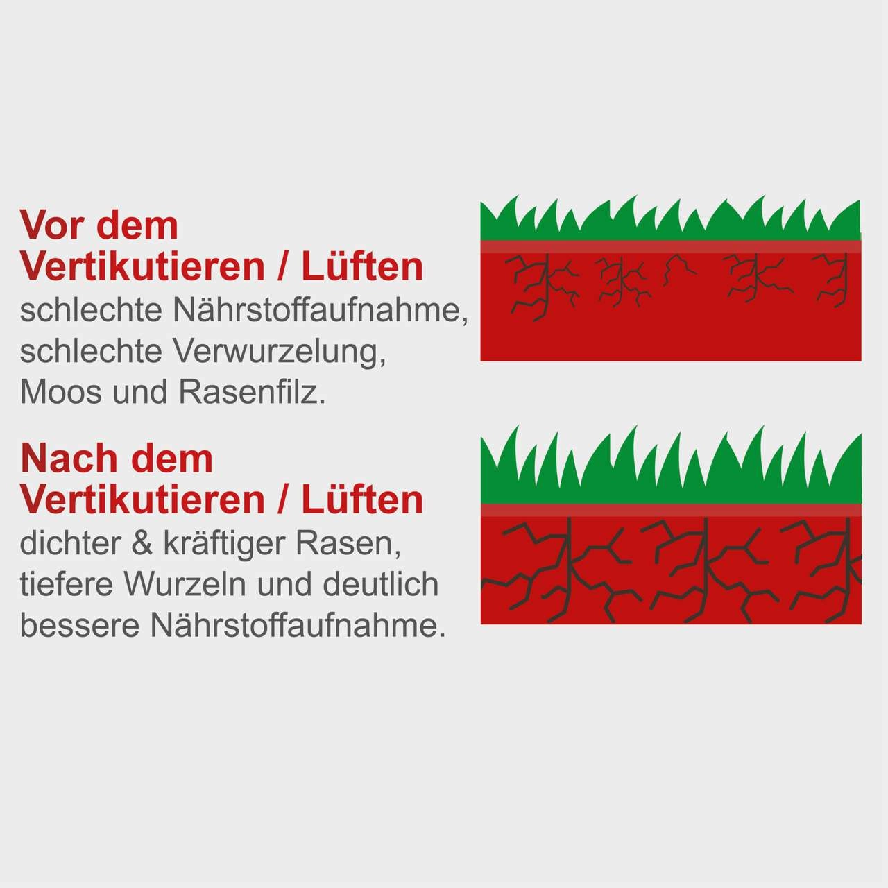 Elektro Vertikutierer SC38 Scheppach - Arbeitsbreite 38cm | 45L Korb | Vertikutier- & Lüfterwalze