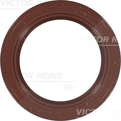 REINZ Nockenwellendichtung 81-34403-00 Nockenwellendichtring,Wellendichtring, Nockenwelle FIAT,PEUGEOT,CITROËN,DUCATO Kasten (244)