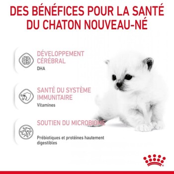 ROYAL CANIN Babycat Milk Milchpulver 300 g