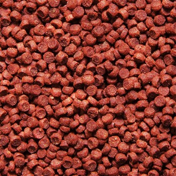 Sera Cichlid Tanganyika Granules 1.000 ml