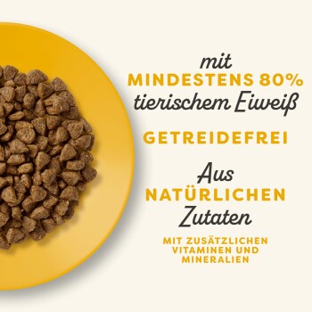 Applaws Trockenfutter Kitten, Hähnchen 2 kg