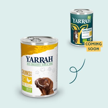 Yarrah Bio Nassfutter Adult 12x405 g Huhn