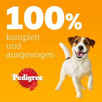 Pedigree Nassfutter Hund Adult, Multipack, Gemischte-Selektion mit Gemüse, in Sauce 12x100 g