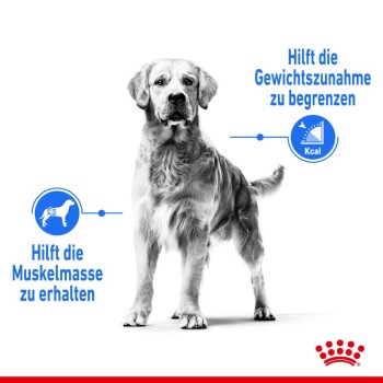 ROYAL CANIN Light Weight Care Medium 3 kg
