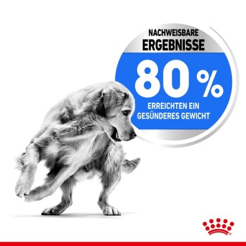ROYAL CANIN Light Weight Care Medium 3 kg
